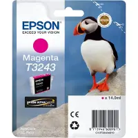 Epson Cartuccia stampante T3243 - Magenta