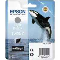 Epson Cartuccia T7607 Nero Chiaro
