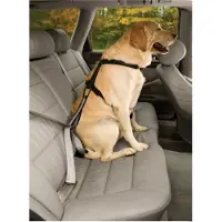 Kurgo Cintura Di Sicurezza Per Cani