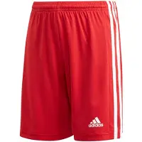 Adidas Pantaloni Corti Squadra 21