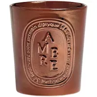 Diptyque Ambre 600 g Candela