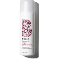 Briogeo Farewell Frizz 236 ml — Shampoo