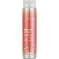 Joico Youth Lock Shampoo 300ml