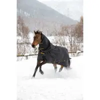 Bucas Irish Turnout 50g + NECK nero/oro tappeto da pioggia per esterni con parte del collo , Buc17_Gr.:155cm