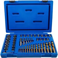 Bgs Estrattore di viti e dadi con set di punte sinistre 2 - 18 mm 49 pezzi - 70329