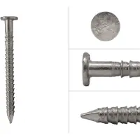 Wovar Codolo ad anello in acciaio inox A4 testa piatta per rivestimento 2,9 x 35 mm - 500 grammi