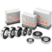 Cema Cuscinetti Ceramic 6000