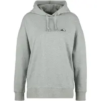 Bergfreunde Women's Hoody Felpa con cappuccio Donna (46, grigio)