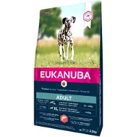 Eukanuba Adult Large - Croccantini con salmone e orzo - 12 kg