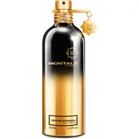 Montale Vetiver Patchouli 100 ml Eau de Parfum