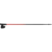 Viking Bastoncini Pro-trainer
