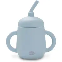 Interbaby Insi007 Bicchiere In Vetro Senza Bpa + Cannuccia Silicone