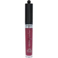 Bourjois Fabuleux Gloss 08 3,5 ml — Gloss labbra