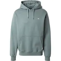 Iriedaily Mini Flag 2 Hoody Felpa con cappuccio Uomo (L, grigio)