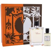 Hermès Paris Terre D'100 ml Eau de Toilette Uomo