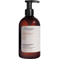 L'Occitane Shampoo Riparatore Intenso Aromachologie - 500 - en Provence