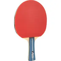 Joola Racchetta Da Ping Pong Team Premium