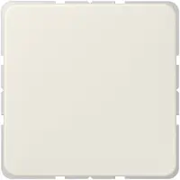 JUNG Blindabdeckung 594-0 ST550 Zentralplatte weiss 594-0 (594-0)