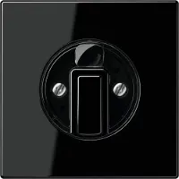 JUNG LS1941SW Copertura nera