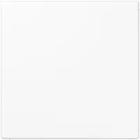 JUNG Finta placca bianco alpino - Coperchio cieco LS 961 B WW