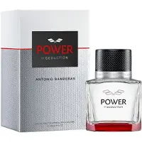 Antonio Banderas Power of Seduction Uomo 50 ml — Eau de Toilette