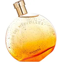 Hermès Paris Eau De Parfum Elixir Des Merveilles Vapo 100ml