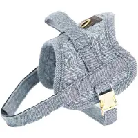 Kentucky Pettorina Per Cani Body Safe
