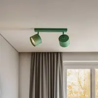 Argon Faretto da soffitto Chloe orientabile a 2 luci, verde