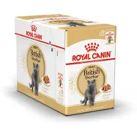 Royal Canin Cibo Umido Per Gatti Adulti British Shorthair 12x85g