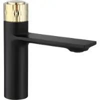 REA Rubinetto da Lavabo Storm Black Gold Low