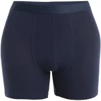 Icebreaker Merino Core Boxers Graphite Intimo lana merinos Uomo (S, blu)