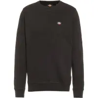 Dickies - Felpa con cappuccio casual - Oakport Sweatshirt Black per Uomo - Taglia XL - Nero