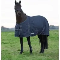 Waldhausen Tappeto per esterni ECONOMIC, leggero in vari colori, colore:blu notte, dimensioni:95 cm