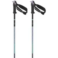 Salomon Polar Pro S3 Bastoncini da sci (105 cm, porpora)
