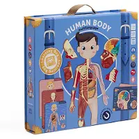 Eurekakids Corpo Umano Magnetico Multilingue