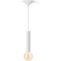 Philips Hue Pacchetto: Corda Larga Bianca Per Lampadine Filament + Lampadina A Filament Globo G93 Bianco Caldo-freddo