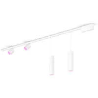 Philips Hue Perifo Kit Base Per Soffitto Dritto (2 Lampade Spot, 2 Lampade A Sospensione)