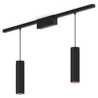 Philips Hue Perifo Kit Base Per Soffitto Dritto (2 Lampade A Sospensione)