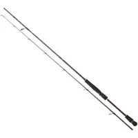 Daiwa Canna Spinning Infeet Seabass