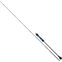 Daiwa Canna Slow Jigging Lexa