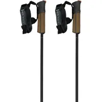 Fischer Bastoncini Gt 11 Carbon Mag