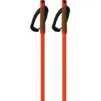 Fischer Bastoncini Storm Gtx M