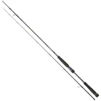 Daiwa Canna Spinning Labrax Seabass
