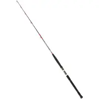 Daiwa Canna Spinning Saltist