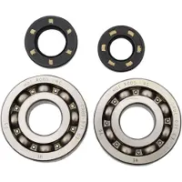 Hotrods Kit Di Cuscinetti E Paraoli Per Albero Motore Kawasaki 2002-2007 Kx250