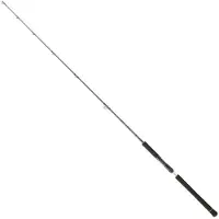 Daiwa Canna Jigging Legalis
