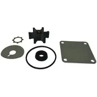 SHURFLO Kit Girante Pompa Olio
