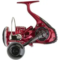 Daiwa Mulinello Da Jigging Bg Rr Ark