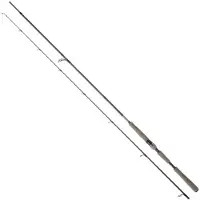 Daiwa Canna Spinning Saltist Ags Iii