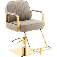 Physa Expondo Poltrona da parrucchiere con poggiapiedi - 560 - 720 mm - 200 kg - Dorato, Beige